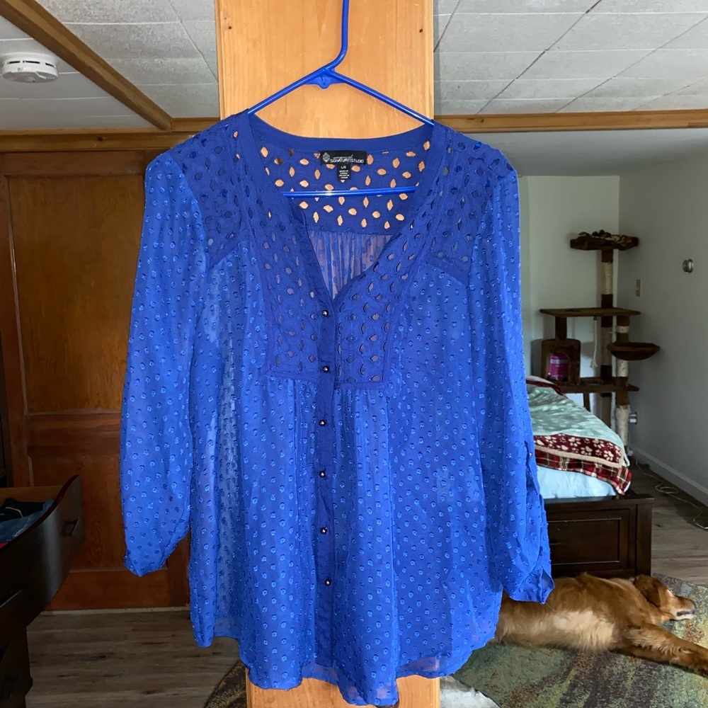 Beautiful Blue Blouse